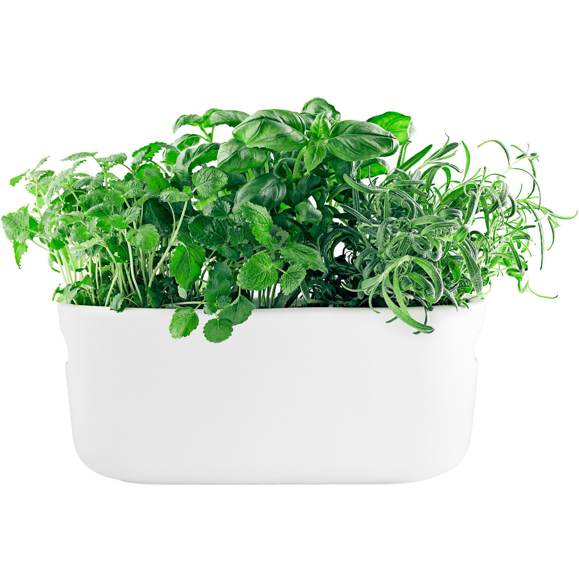 Eva Solo Selvvannende Herb Organiser Hvit