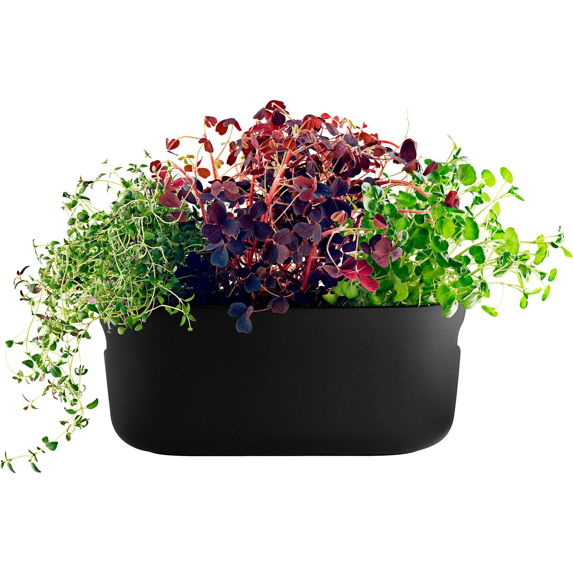 Eva Solo Selvvannende Herb Organiser Svart